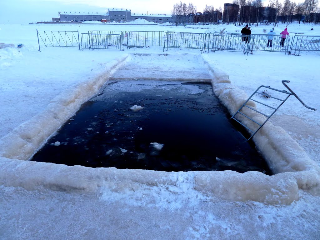 Лунка для моржей