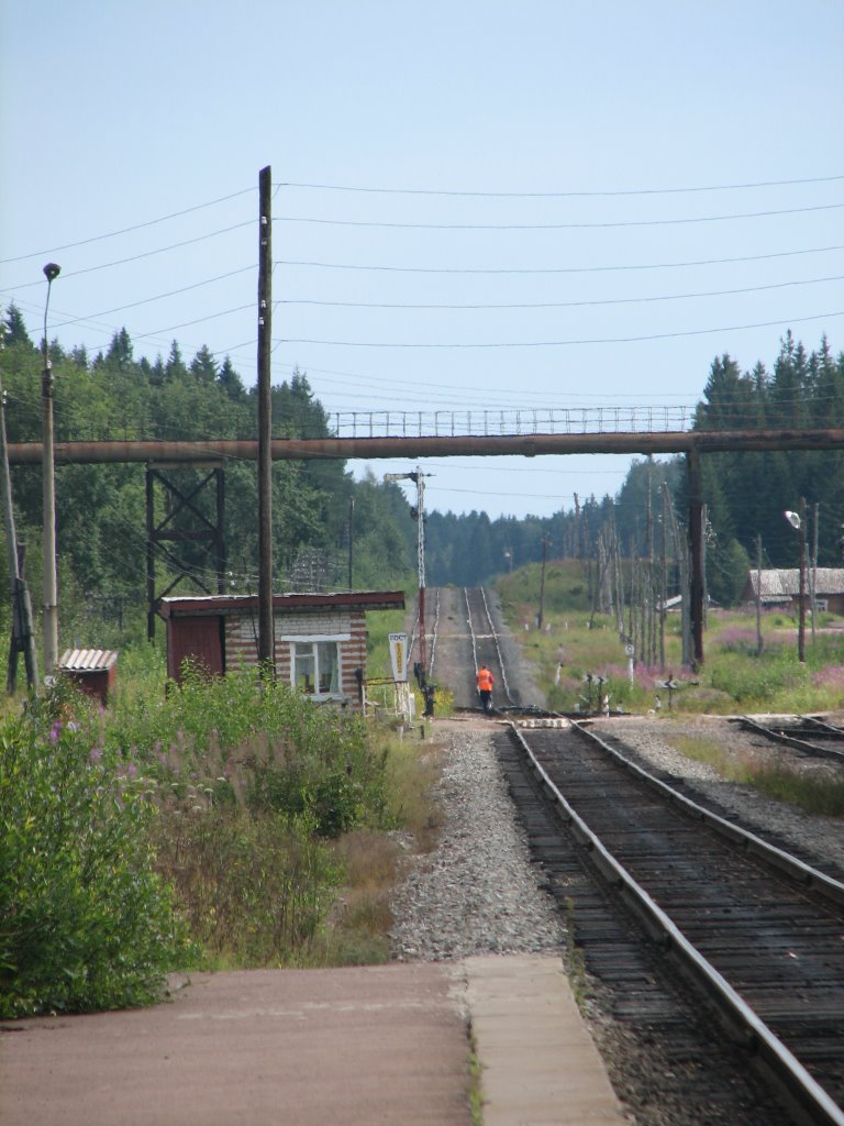 Питкяранта. Семафор (Semaphore at Pitkyaranta)