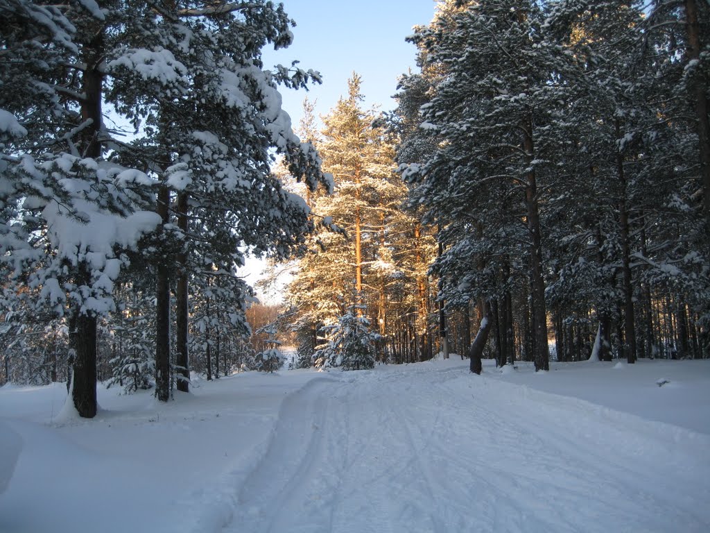 Лыжная база