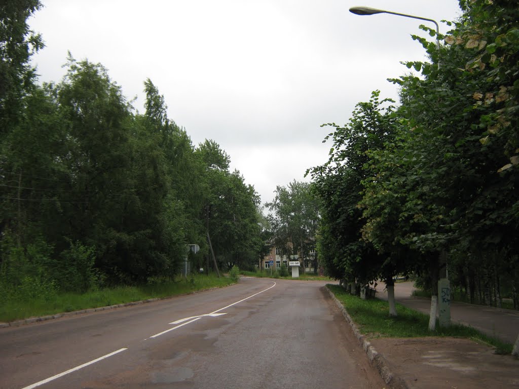 Вид с ул.Ленина на пушку и перекресток ул.Ленина / ул.Горького / ул.Титова