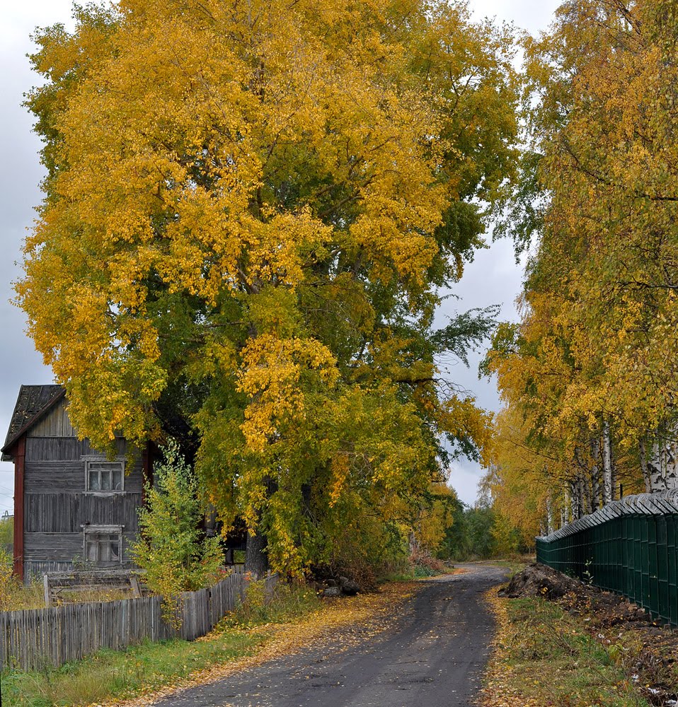 Повенец