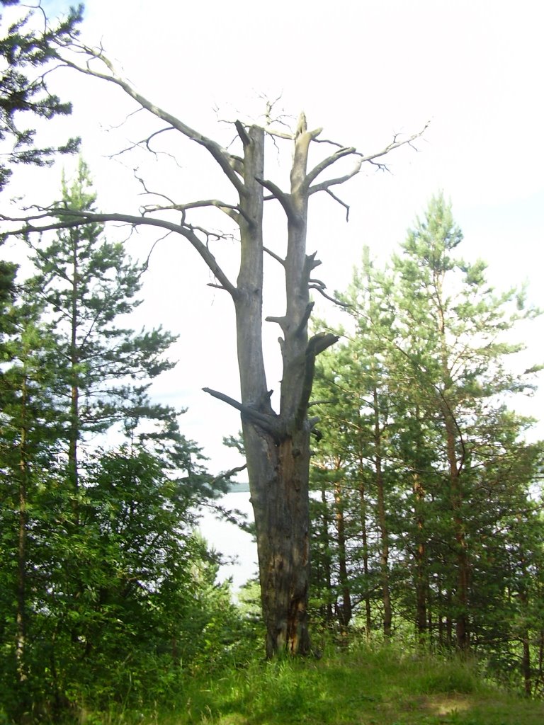 Горка любви