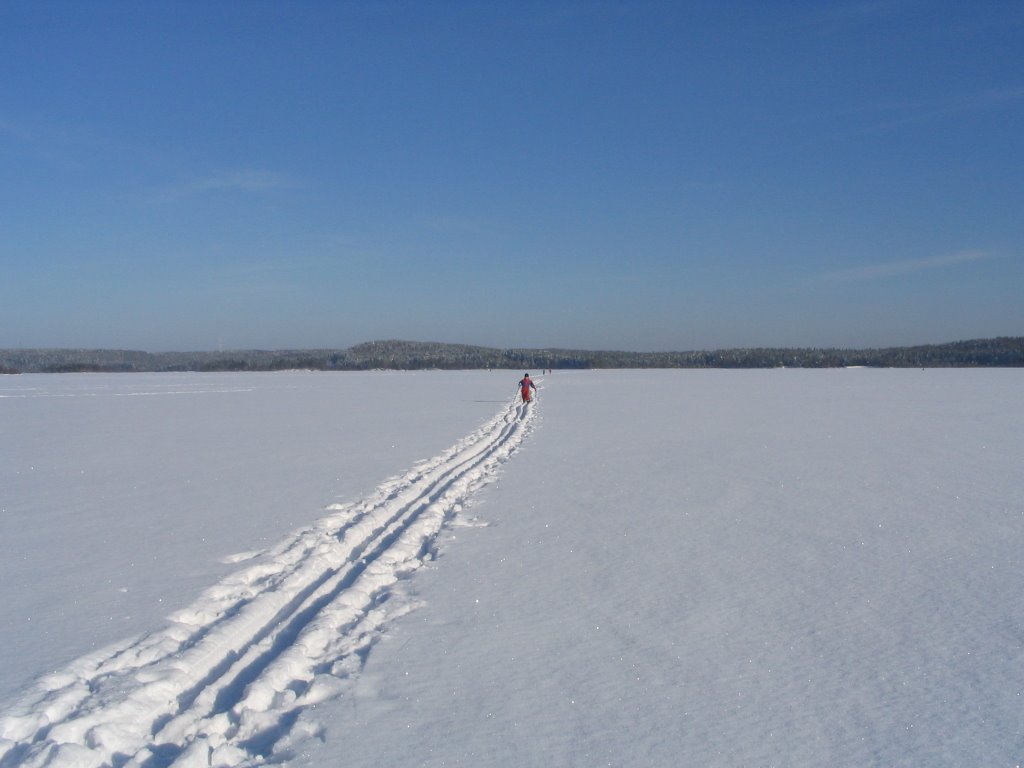 Лыжня