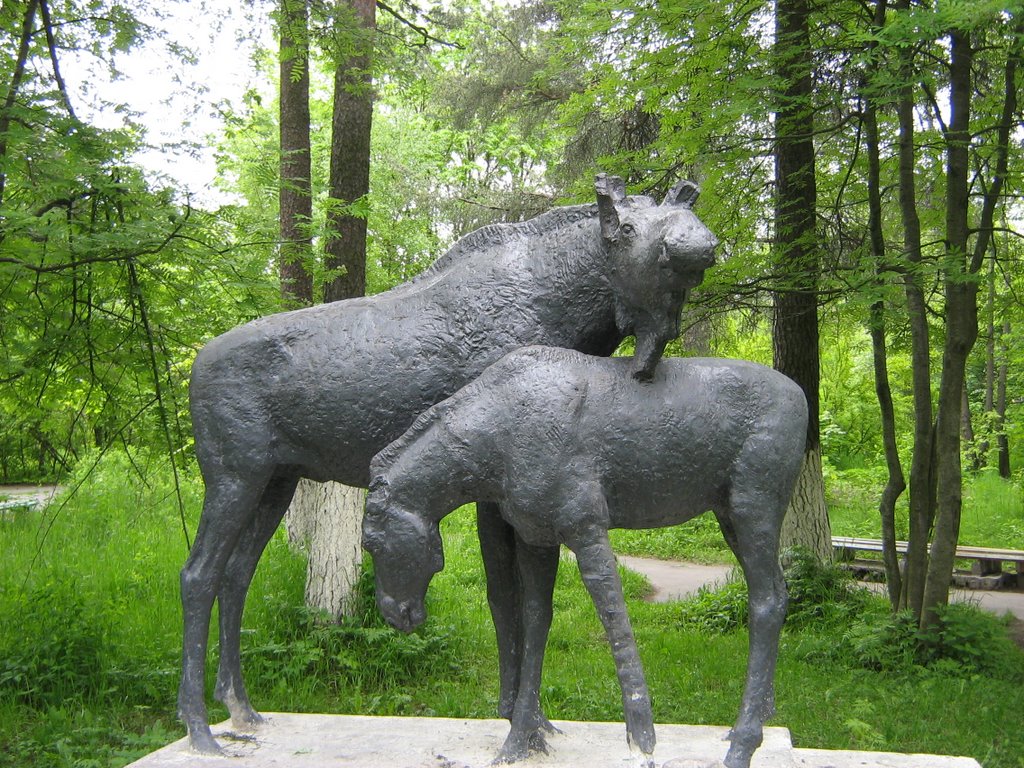 Лоси
