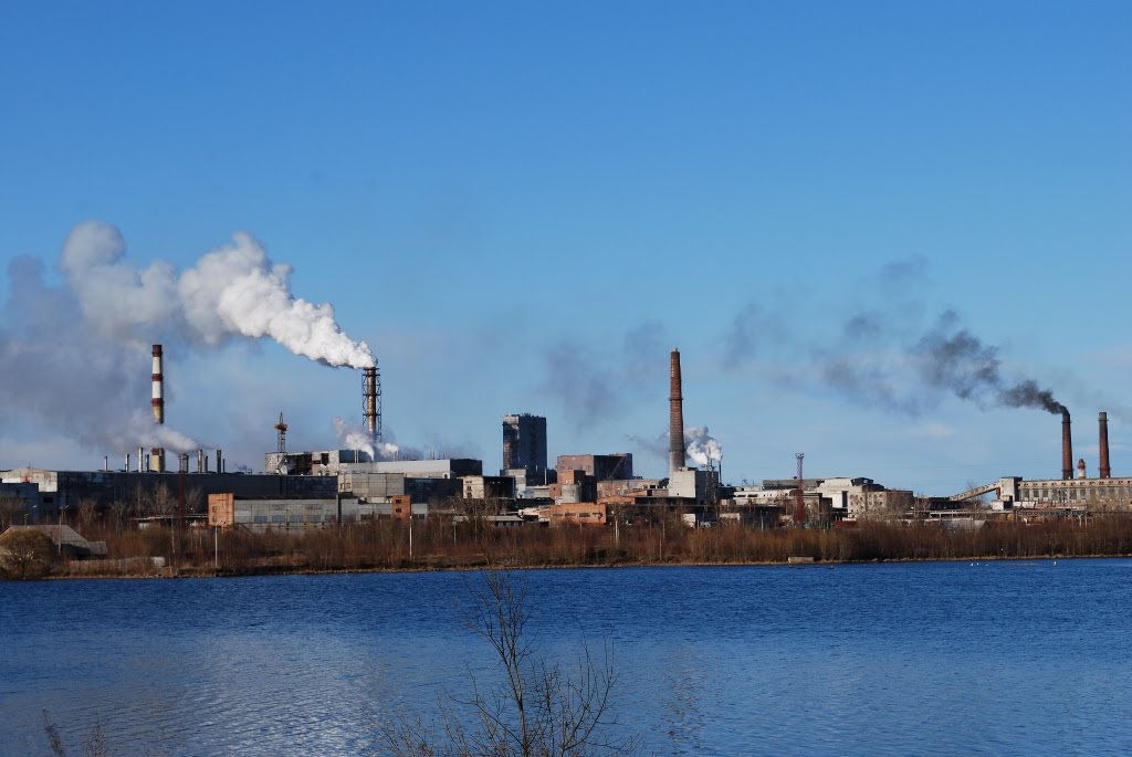Pulp & Paper Mill