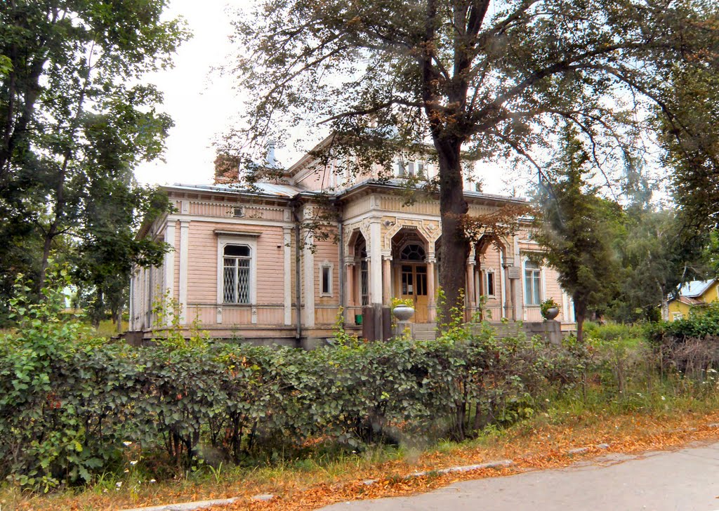 Карелия. Сортавала. Особняк.