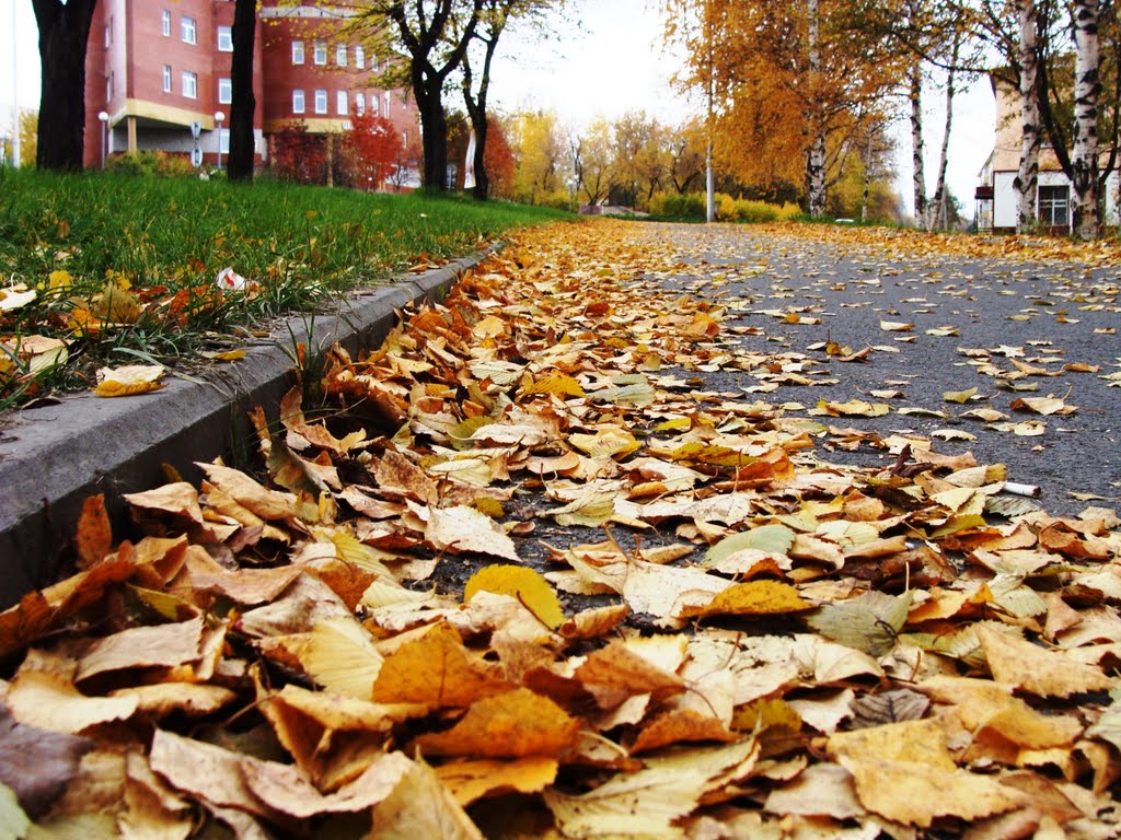 осенью