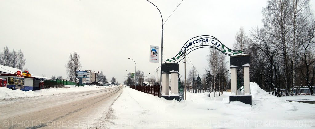 Анжеро-Судженск, ул. Перовской, горсад