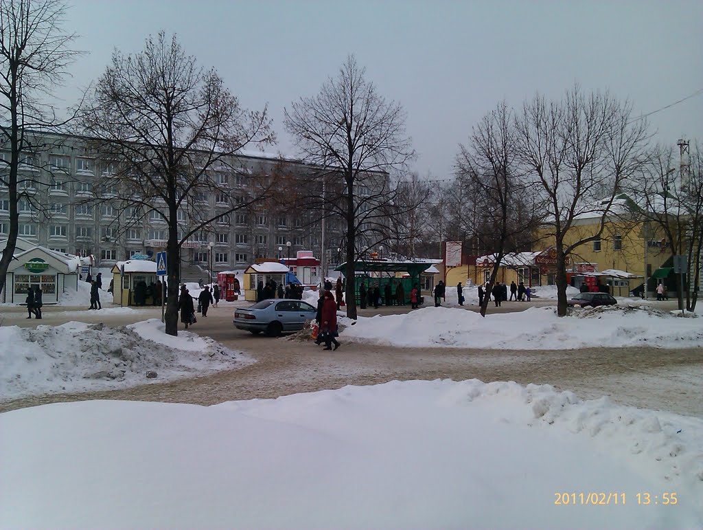 Мед