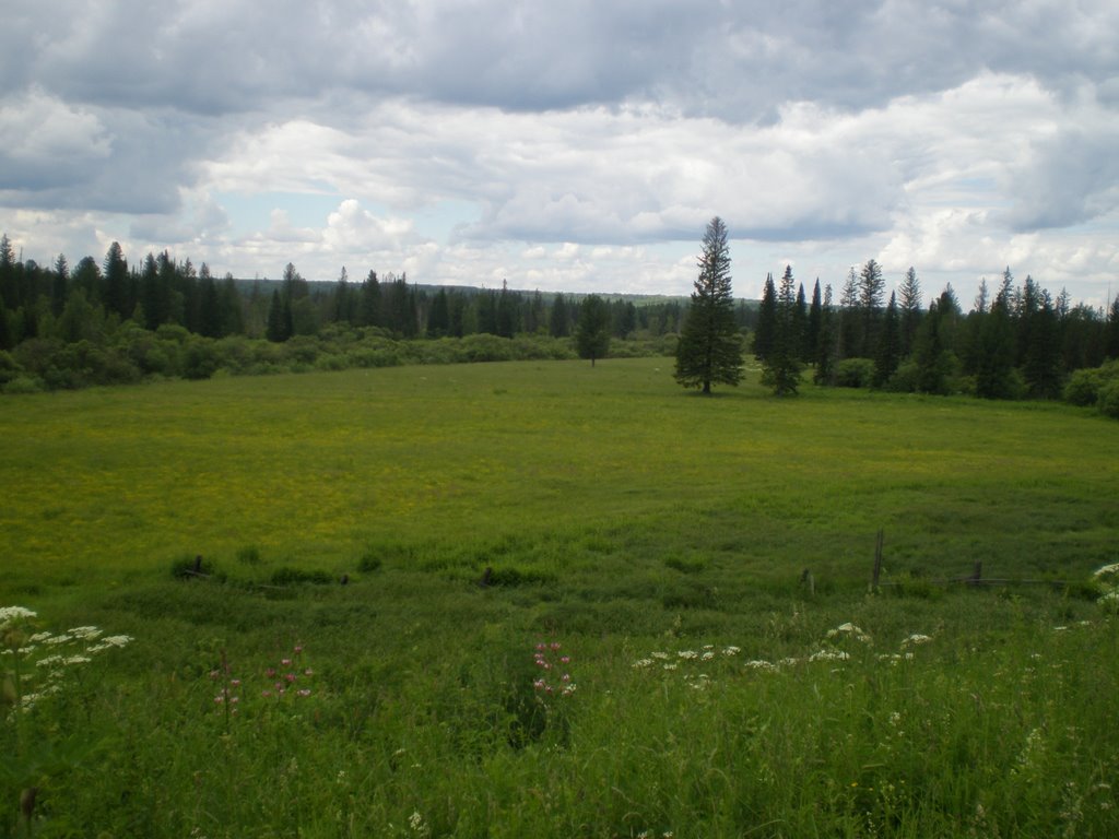 заливной луг