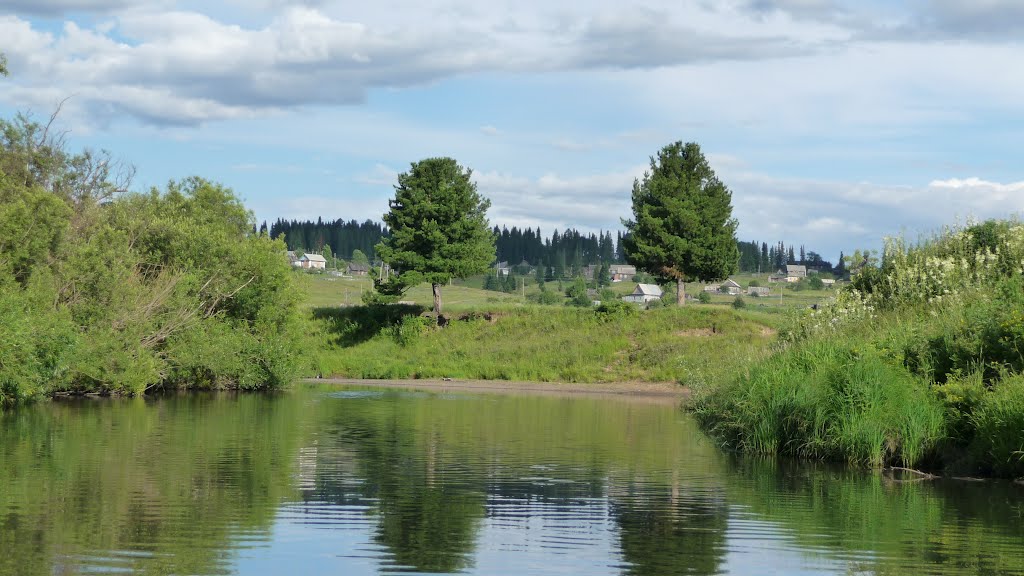 Близнецы