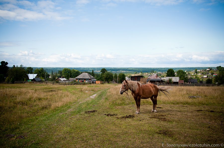 Барзас