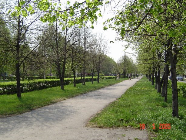 Ул. Советская: Аллея