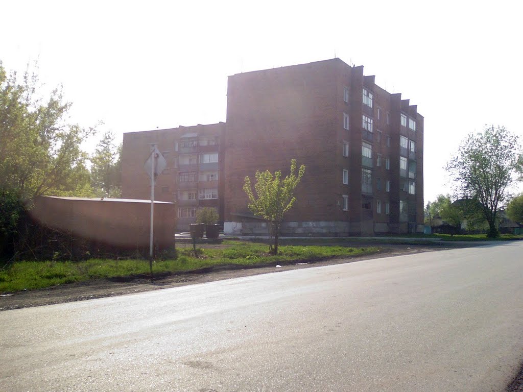 Новогодняя 1а