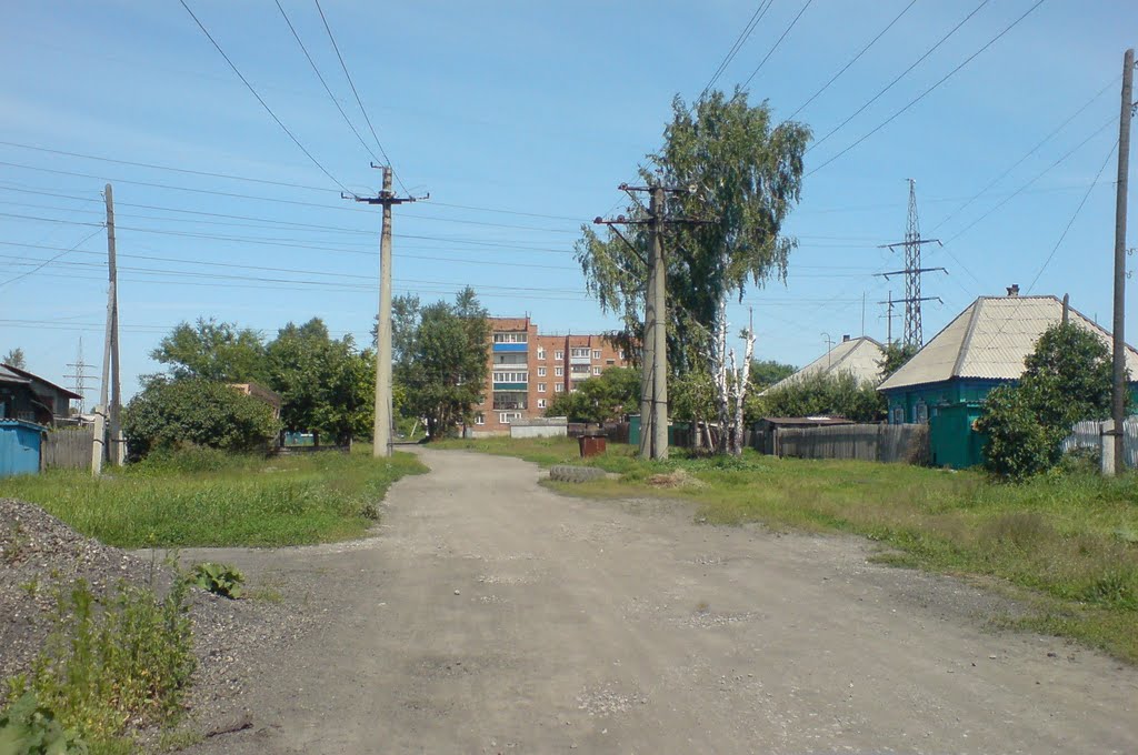 ул.Новогодняя