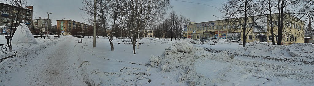 Омикс. Панорама