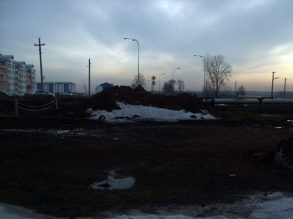 Весна 2011