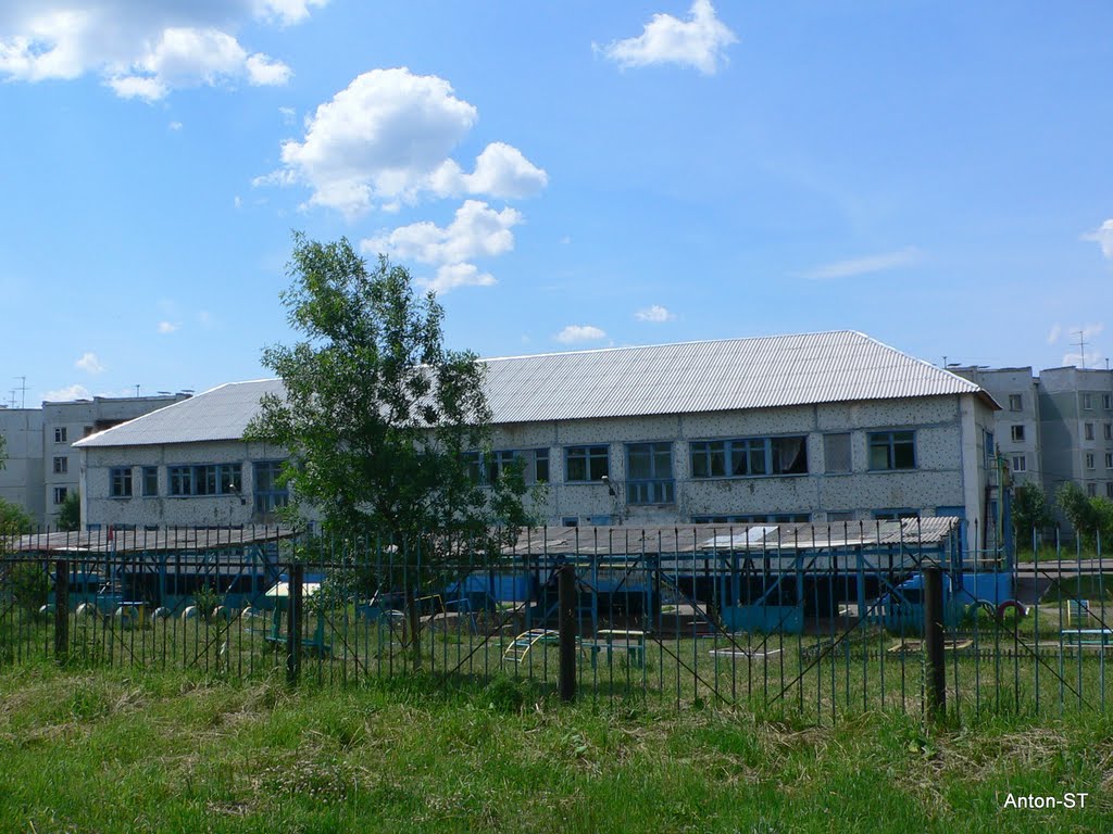 Садик Ромашка
