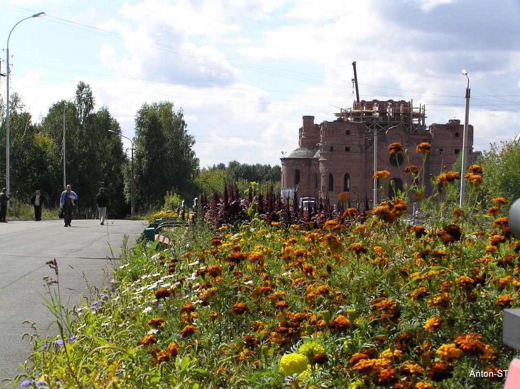 Клумба