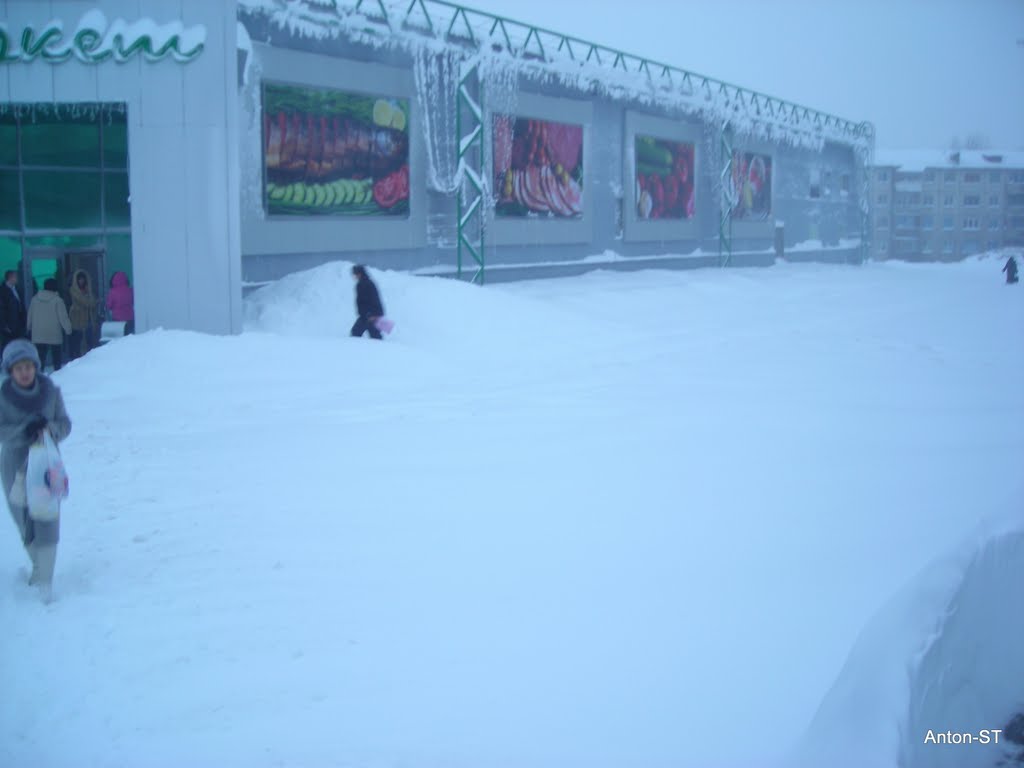 Кора в снегу