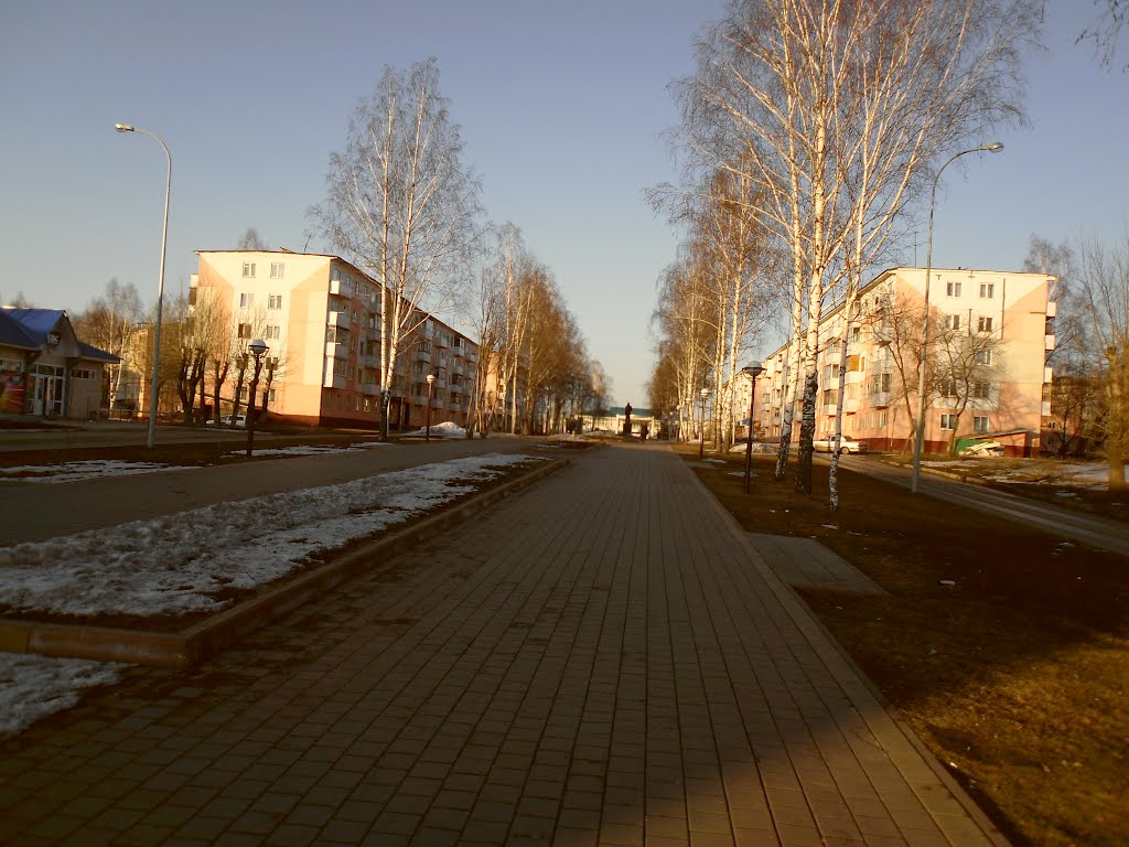 ЦЕНТРАЛЬНАЯ АЛЛЕЯ