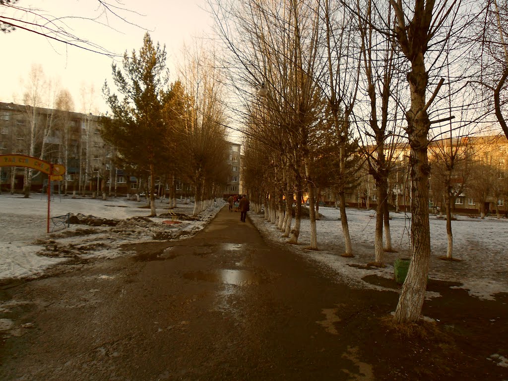 АЛЛЕЙКА