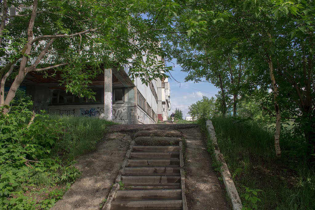 Лето 2012г