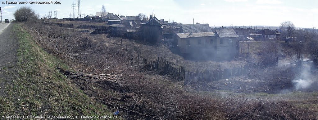 Грамотеино - спиленные деревья в октябре 2012 и в 2013 году там же лежат под ЛЭП