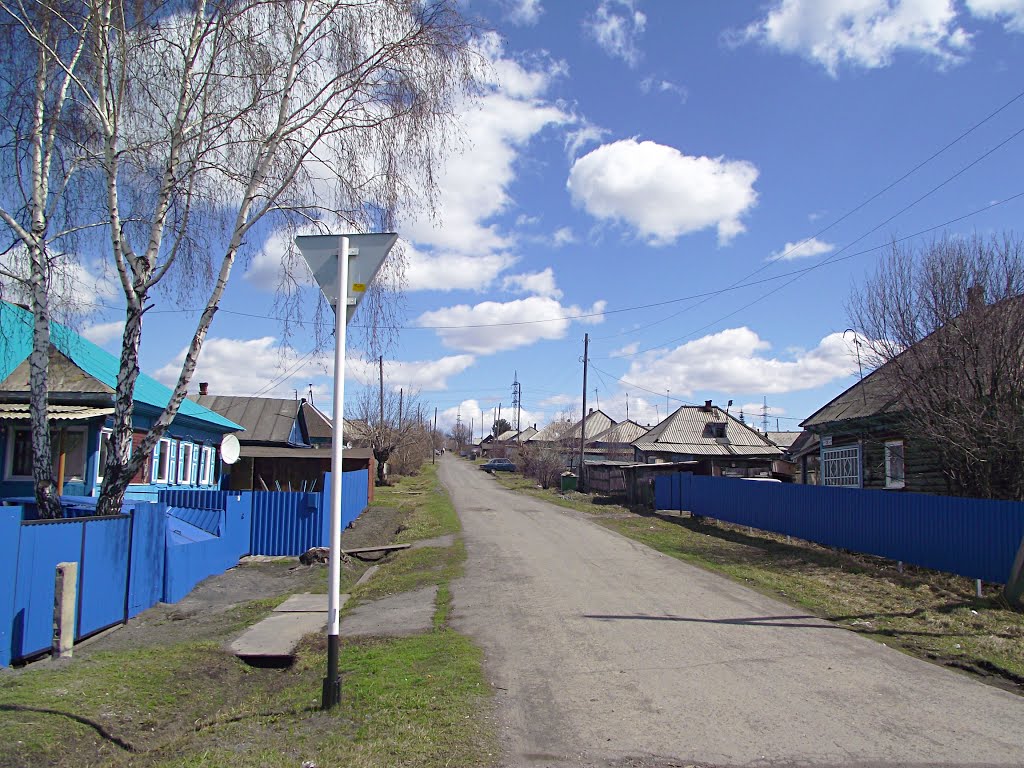 п. Новостройка (п.Грамотеино г.Белово), ул.2-ая Воронежская