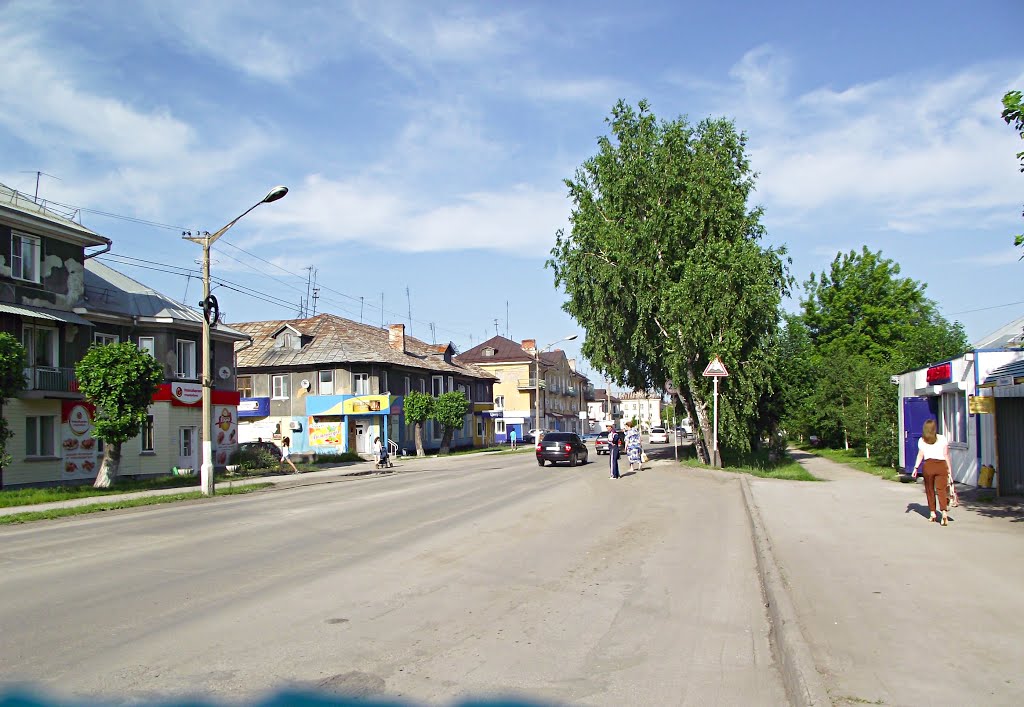Гурьевск 209 ул. Ленина