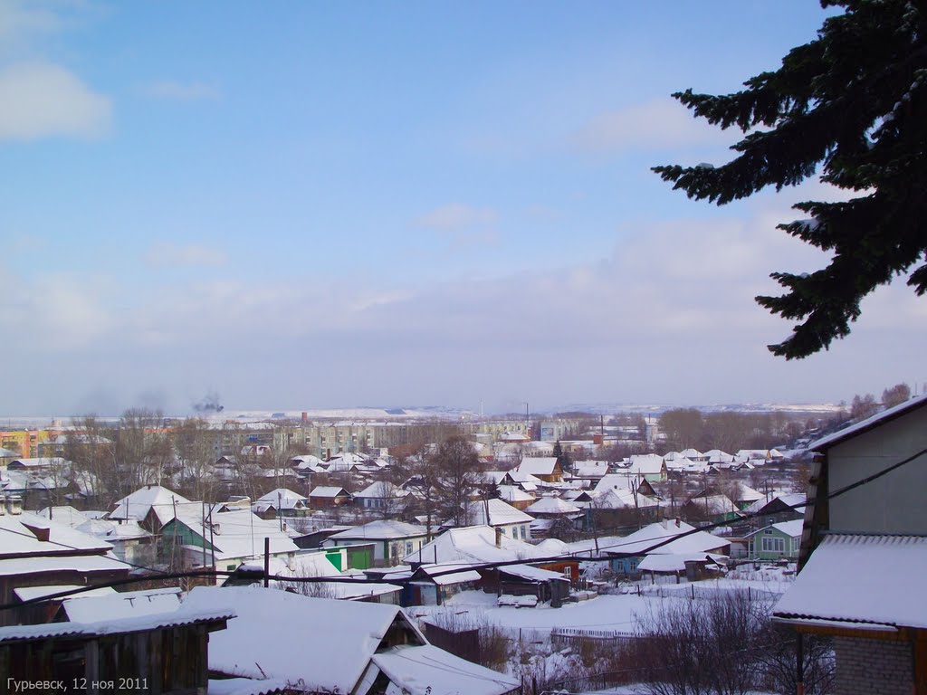 [Gur-nov-3]
