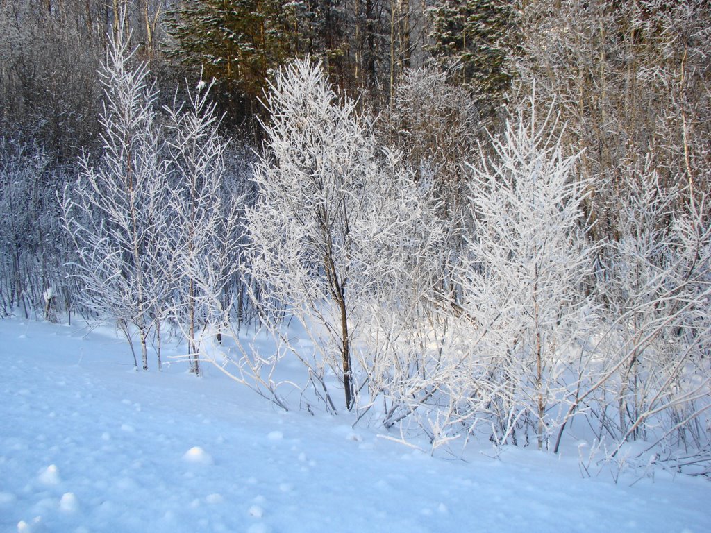 Лёгкий морозец