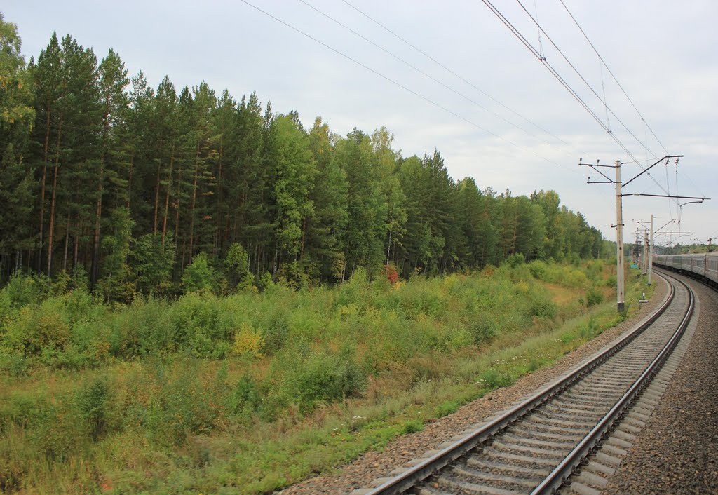 Izhmorskiy