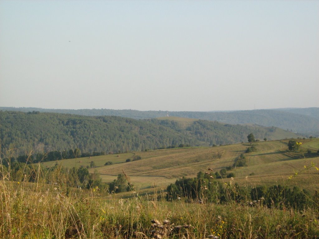 Тайга