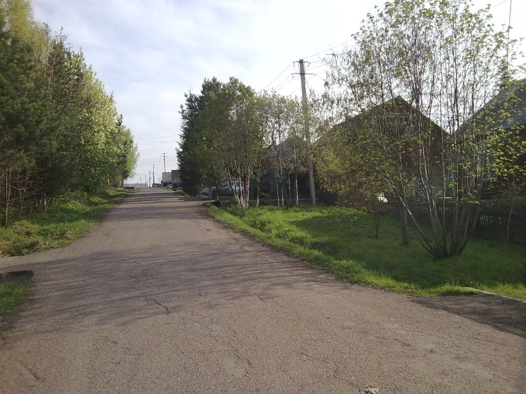 Кулацкие коттеджи 2011 (Возле Магазина)