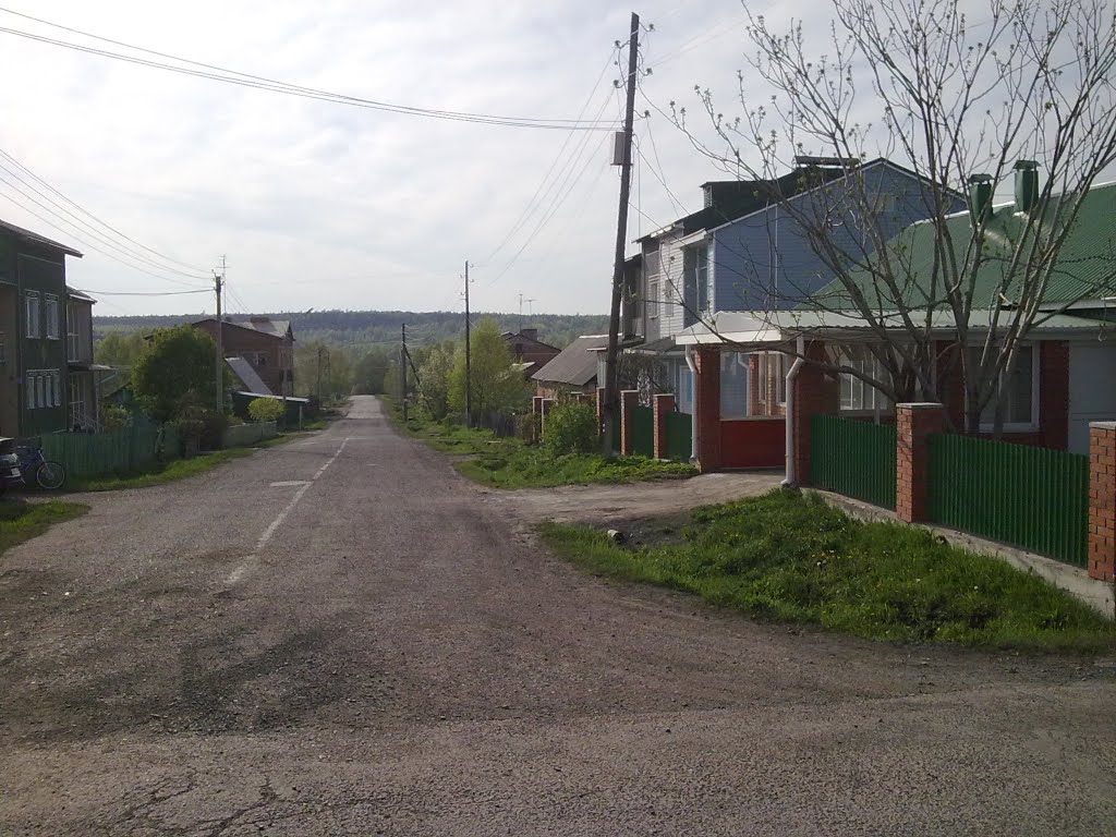 Кулацкие коттеджи 2001