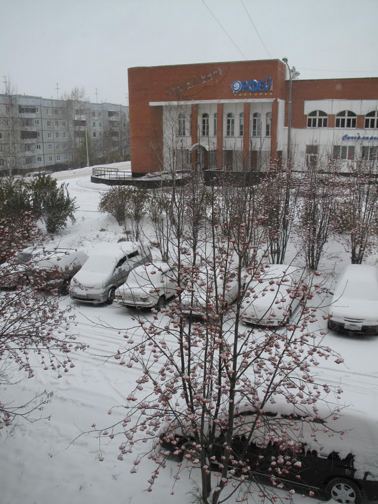 Вид из окна на ресторан