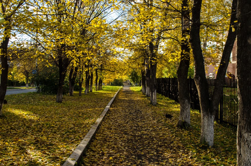 Осень