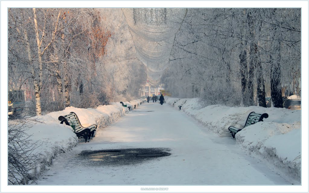 Аллея на улице Кирова (Кемерово 2010-02-09)