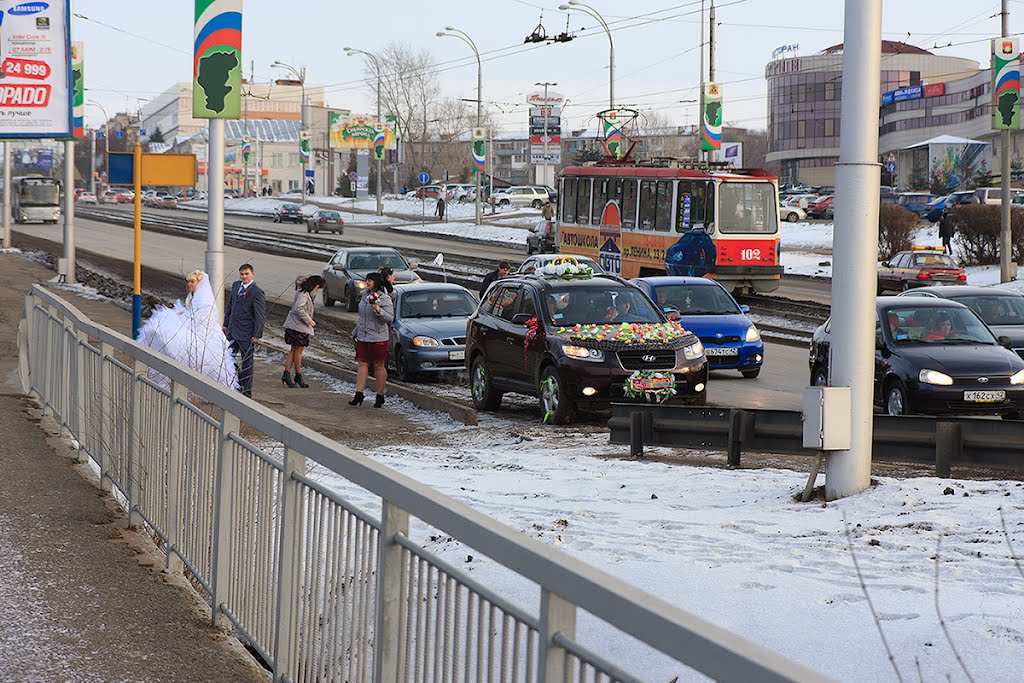 пр.Ленина: свадьба; 19.11.2011