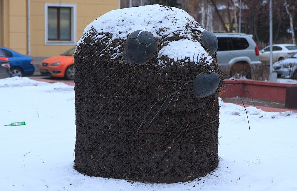 ул.Дзержинского,2: фигура крота или тюленя; 19.11.2011