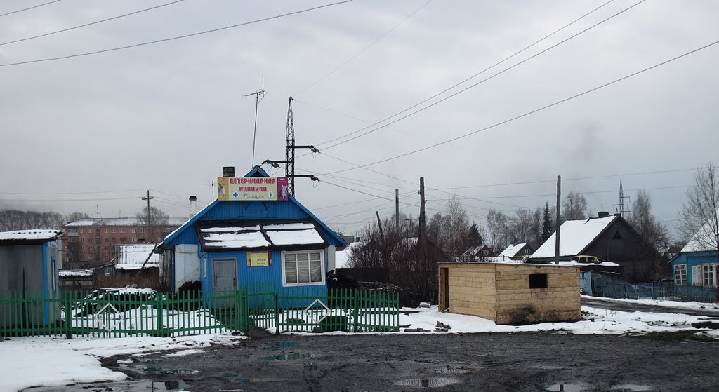 домик "доктора Айболита"