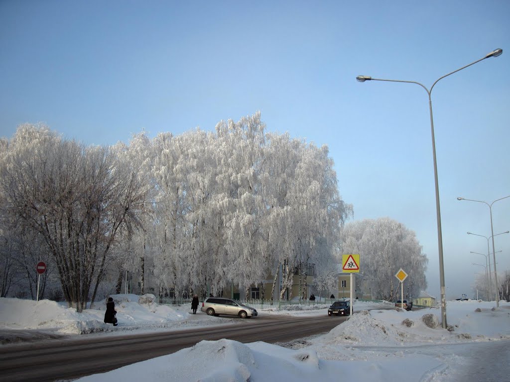 Февральское утро