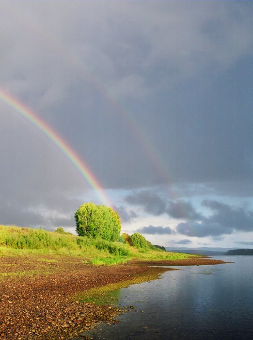 Rainbow