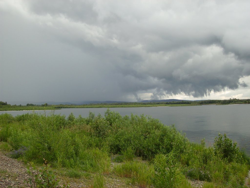 рТОМЬ ливинь
