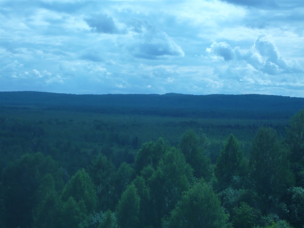 Вид с горы