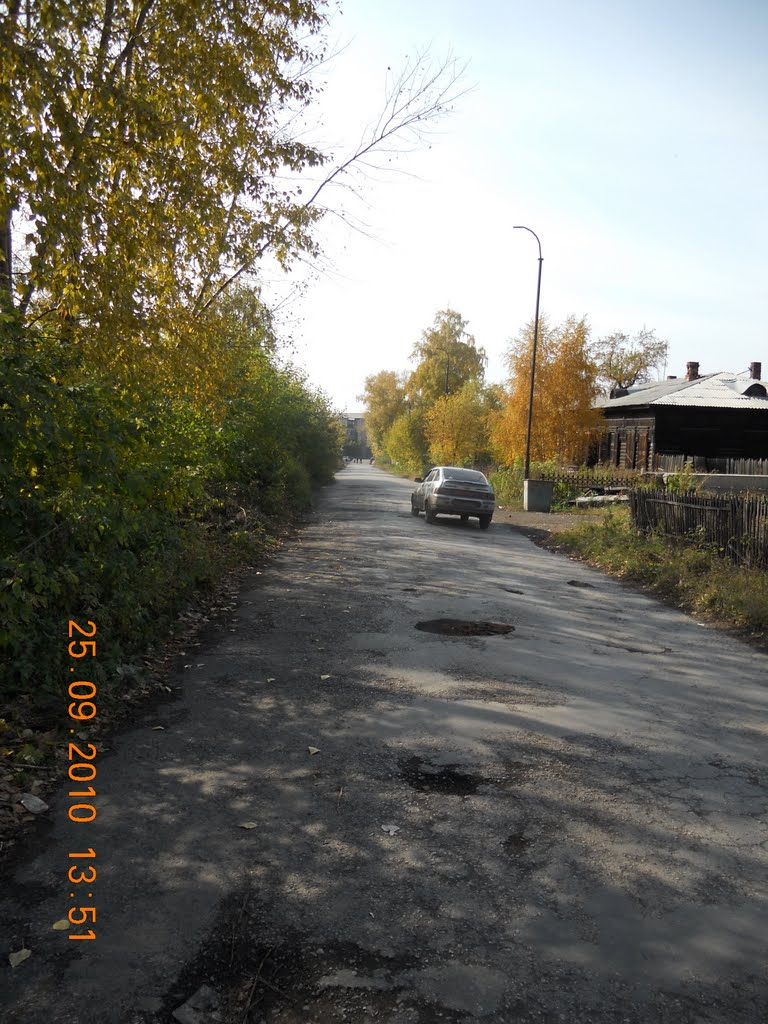 Пионерский парк.