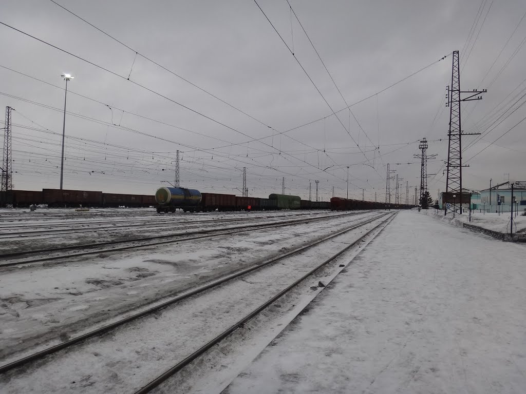 Станция Ленинск-Кузнецкий-1, Вид в сторону ст. Топки
