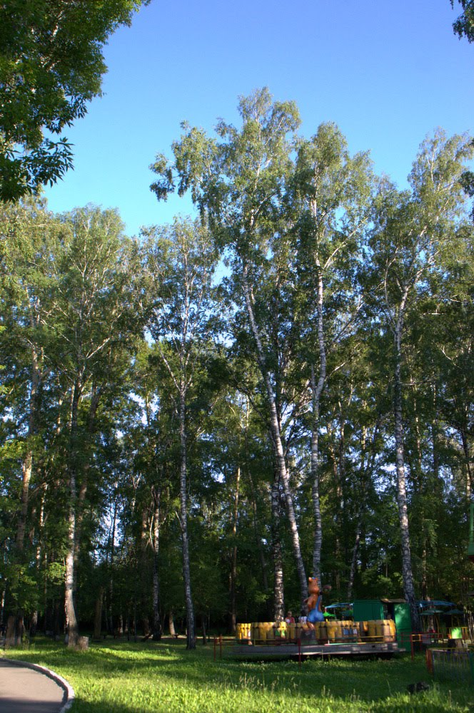 в Парке