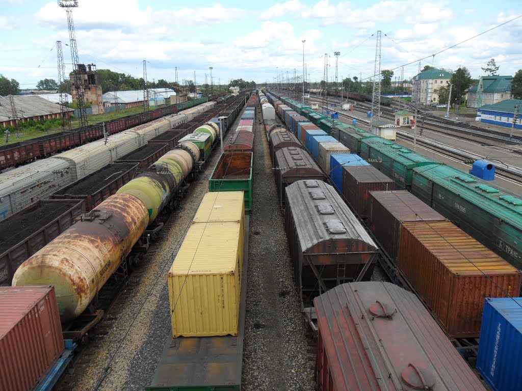 С пешеходного моста